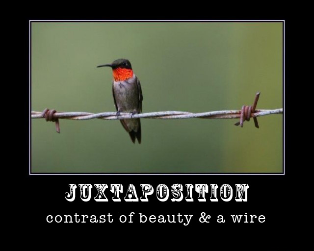 juxtaposition.jpg