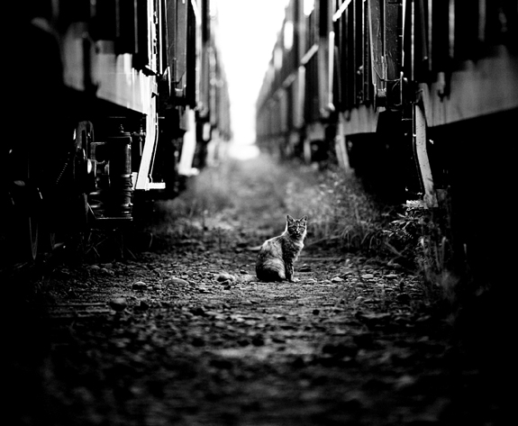 Black-and-White-Street-Photography-02.jpg