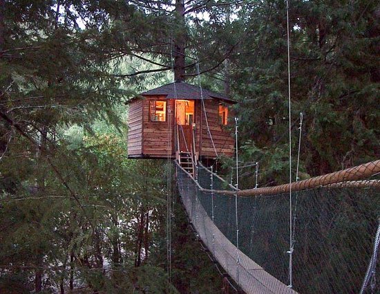 forestree-treehouse.jpg