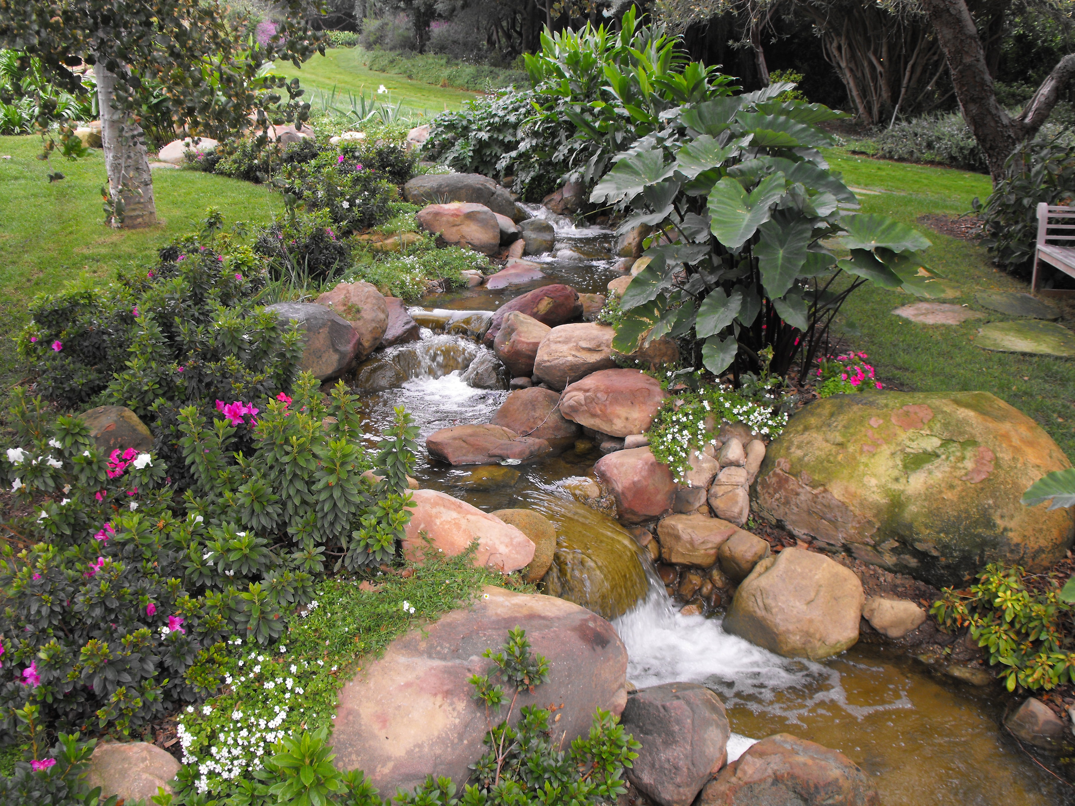 DSCF4414.jpg