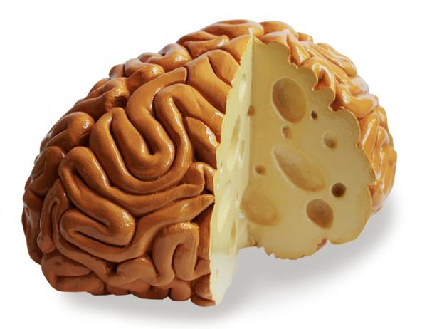 asnaghi-maasdammer-cheese-brain.jpg