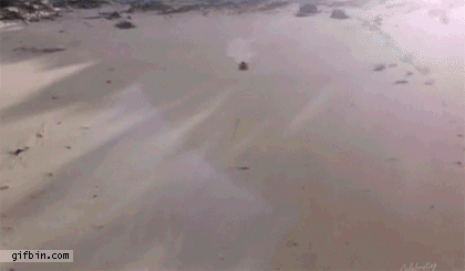 1340644993_epic_beach_slide_wave_jump.gif