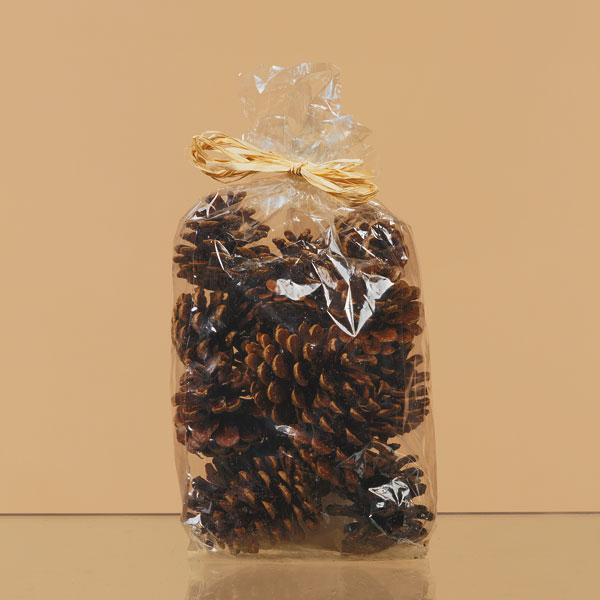 pine-cones.jpg