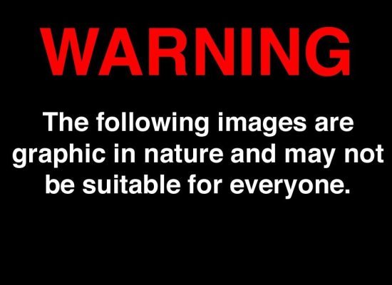 slide_194204_423656_large.jpg