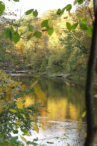 DSC_0066.jpg