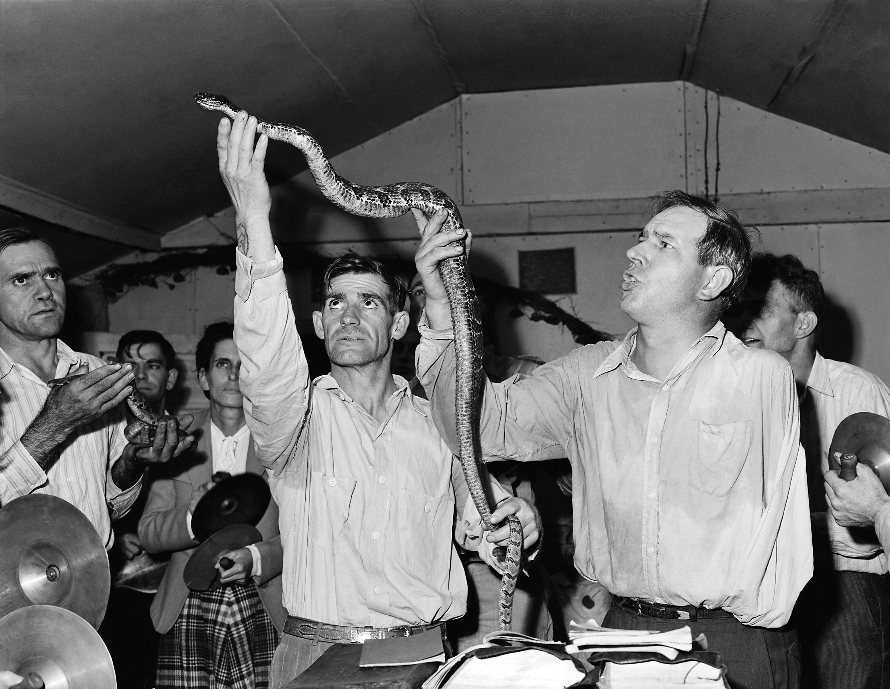 Snakehandling.png