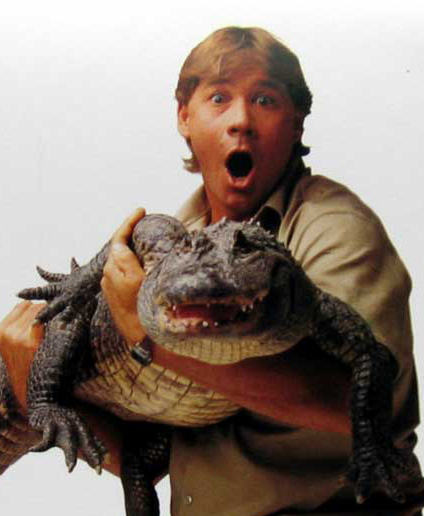 snail-named-after-steve-irwin.jpg