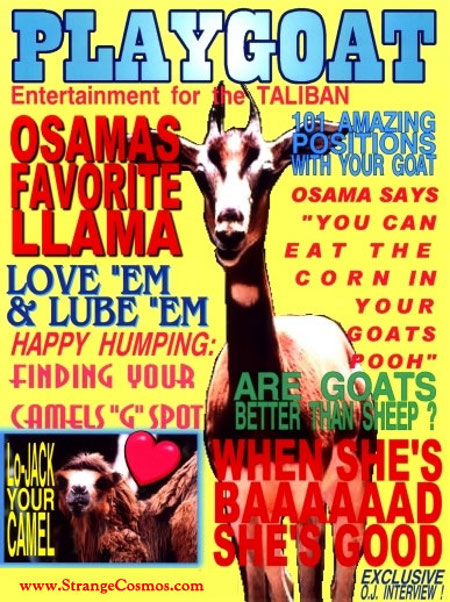 playgoat.jpg