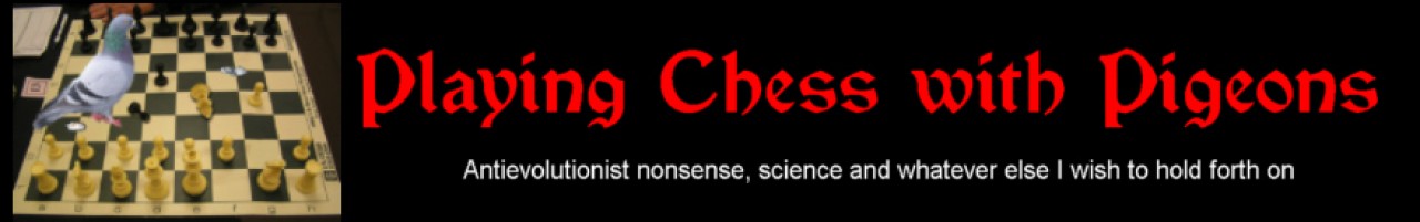 cropped-new_lrg_banner023.jpg