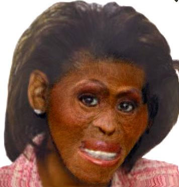 michelle-obama-distorted-pic-11-25-09.jpg