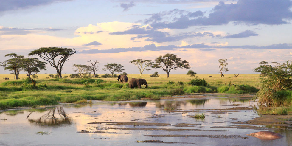 landscape-1471641800-hbz-jbf-tanzania-00-index.jpg