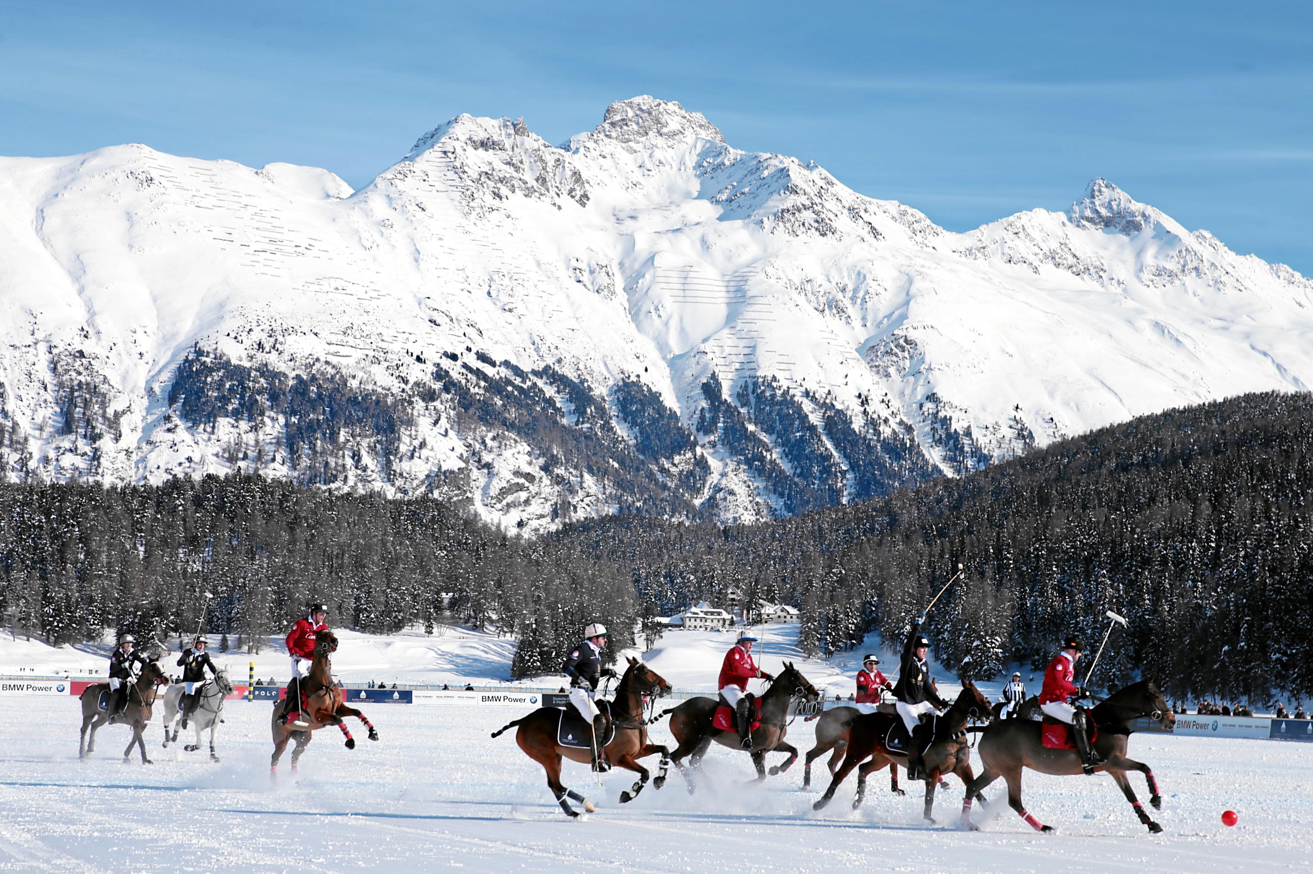 snowpolo14.jpg