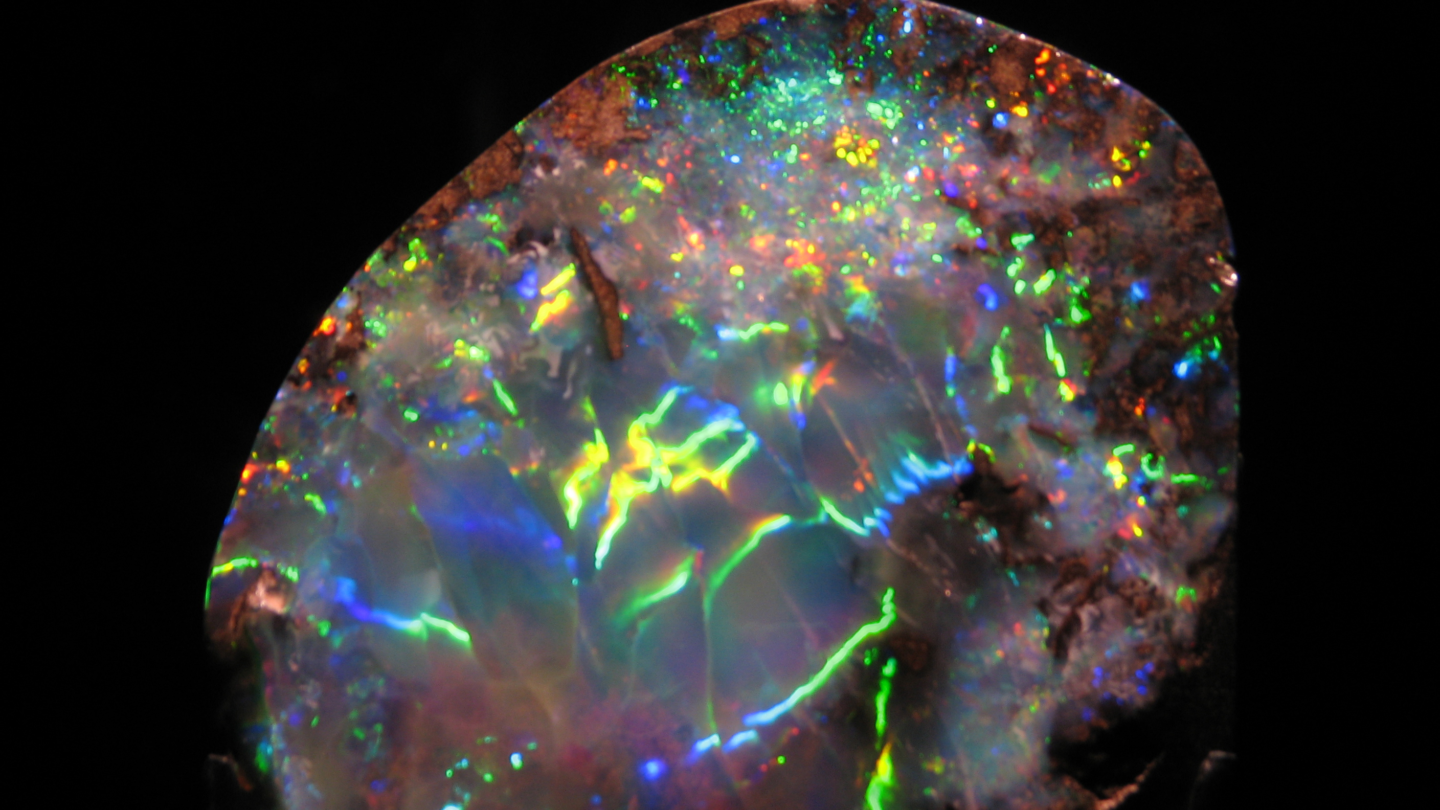 WLA_hmns_opal.jpg