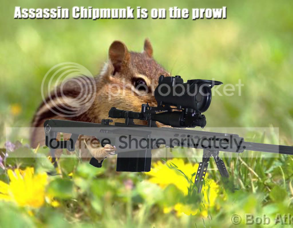 gun_3copy.jpg