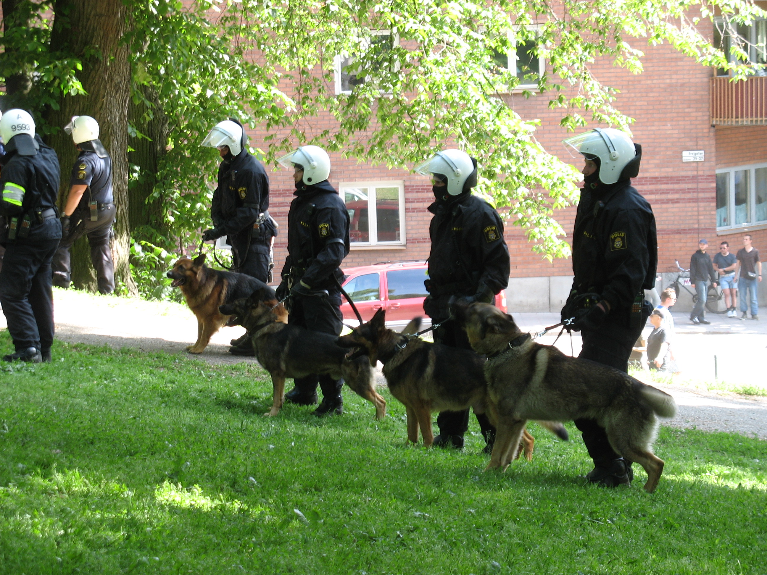 Swedish_police_dogs.jpg