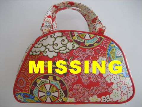 purse_bag_missing0.jpg