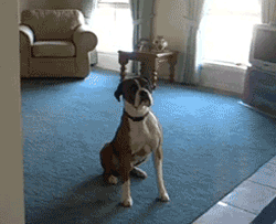 tASYi.gif