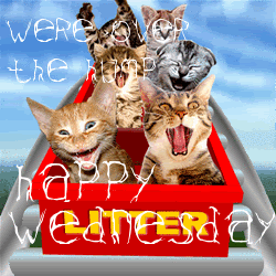 wednesday.gif