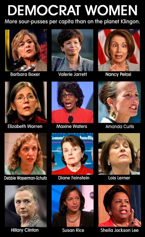 Democrat_-_one_dozen_witches.jpg