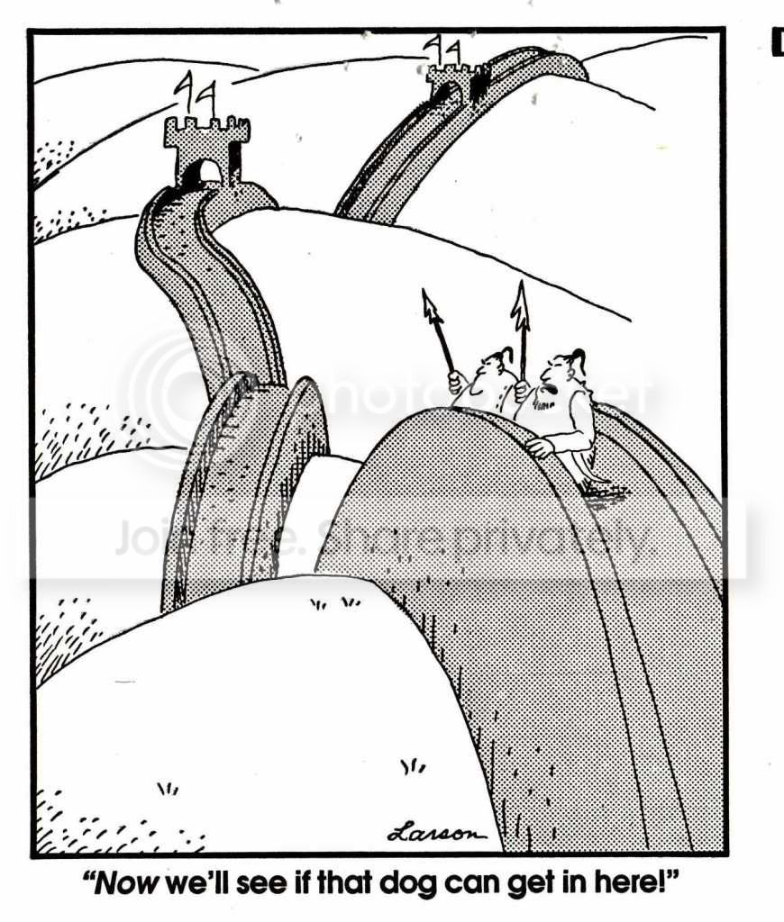FarSide-GreatWallofChina.jpg