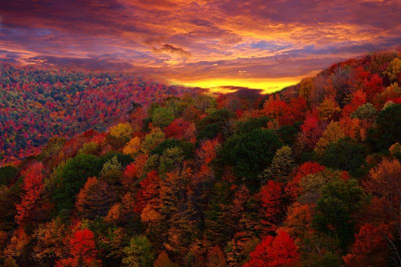 colorful-fall-photos-sunset.jpg