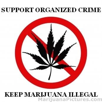 marijuana-legalities-2.jpg
