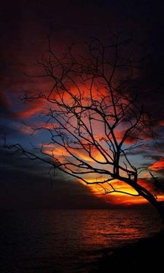 80a3d69a87f9324b871bce16fb5e58ae.jpg