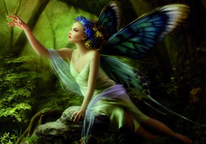 fairy231.jpg