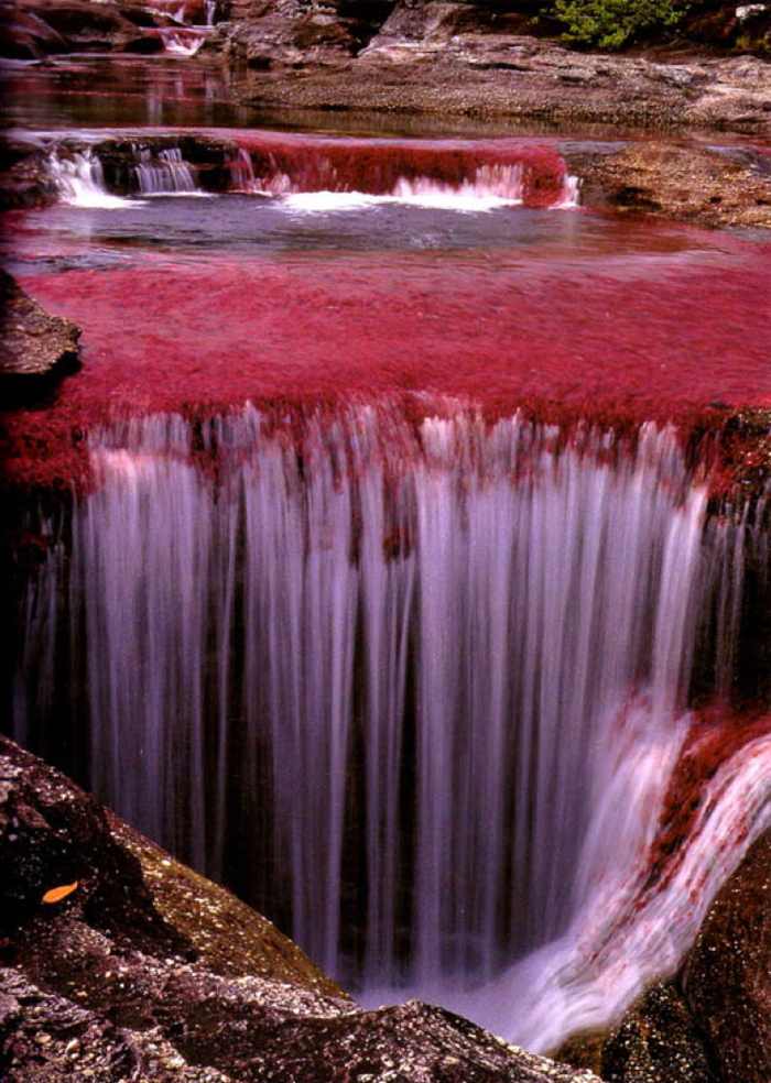 cano-cristales5.jpg