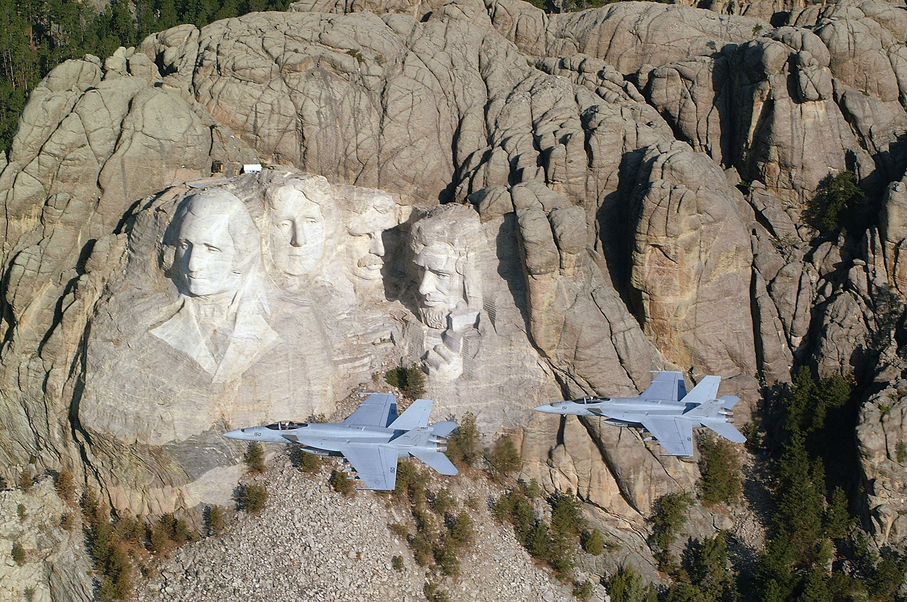 Mount_rushmore_two_hornets.jpg