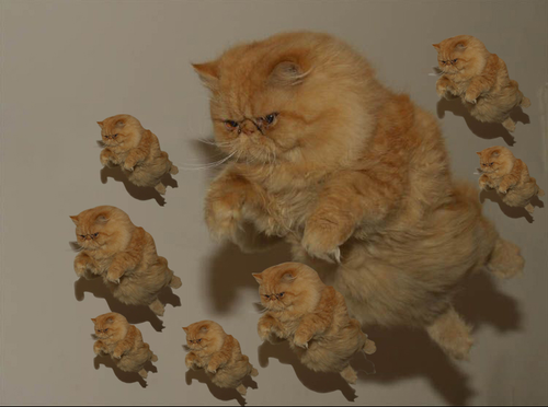 tumblr_oo7xhckoKM1vj3cd9o1_500.png