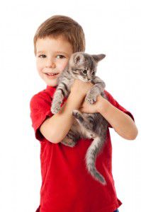 134077350-Boy-with-kitten-199x300.jpg