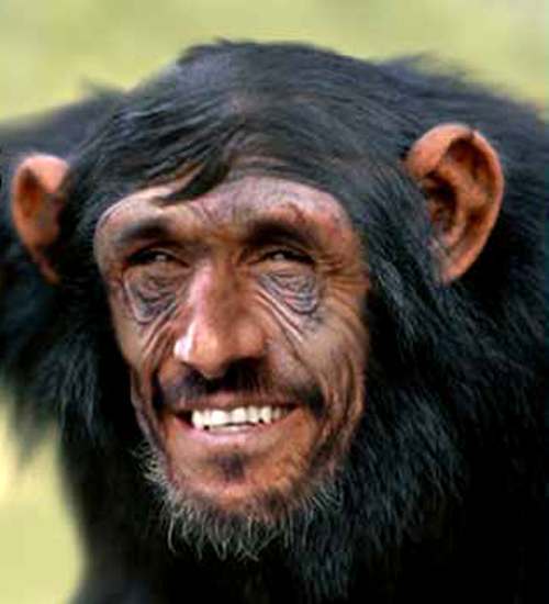 ahamdinejad-is-a-monkey.jpg