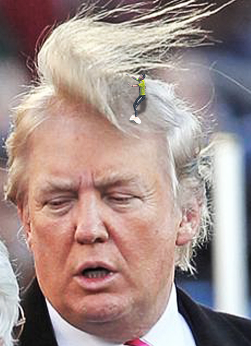 DonladTrumpHair.jpg