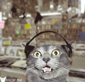 scary_headphones_cat-1.gif