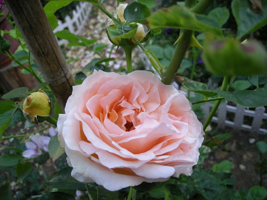 1zQw_900.jpg