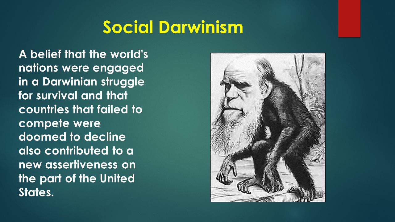 Social%20Darwinism.jpg