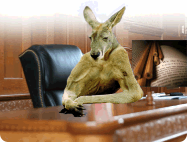 13kangaroo-court.gif