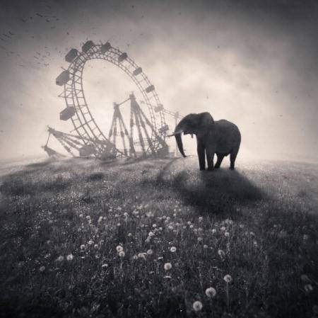 black-and-white-carnival-cute-and-fun-denis-oliver-elephant-ferris-wheel-Favim.com-38482.jpg