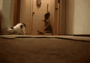 Ni3vU_zps5f44ebc0.gif