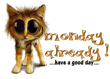 monday-already.gif