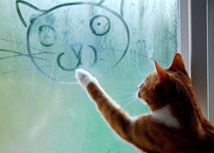 cat-window-art.jpg