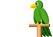 parrot8.gif