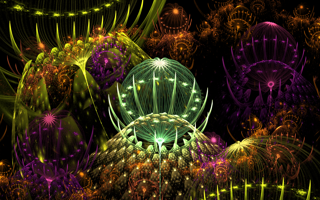 thorny_lightful_creations_by_andrea1981g-d6m8y83.png