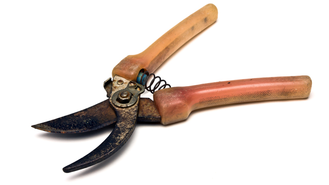 pruning-shears.jpg