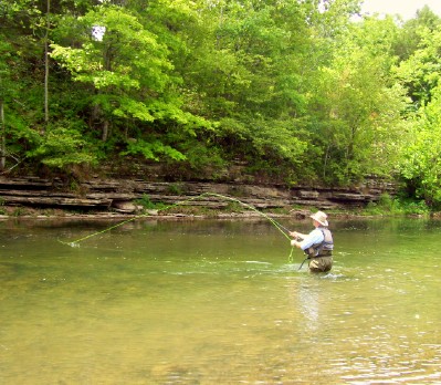 fly-fishing-trout-flies.jpg