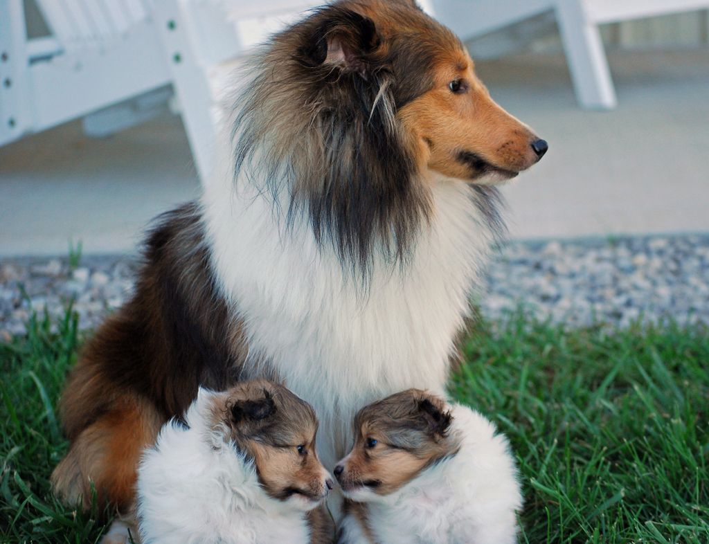 breeder_2543_8684.jpg