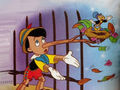 Pinocchio-pinocchio-6333881-120-90.jpg