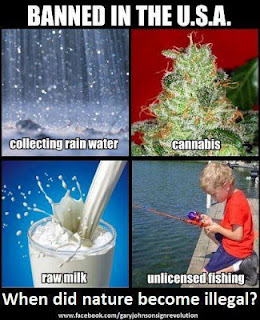 rainwater.jpg