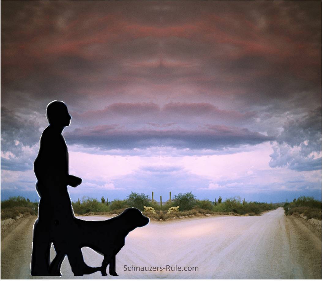 man-dog-heaven.jpg